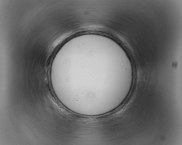 X0000111900970200907271006