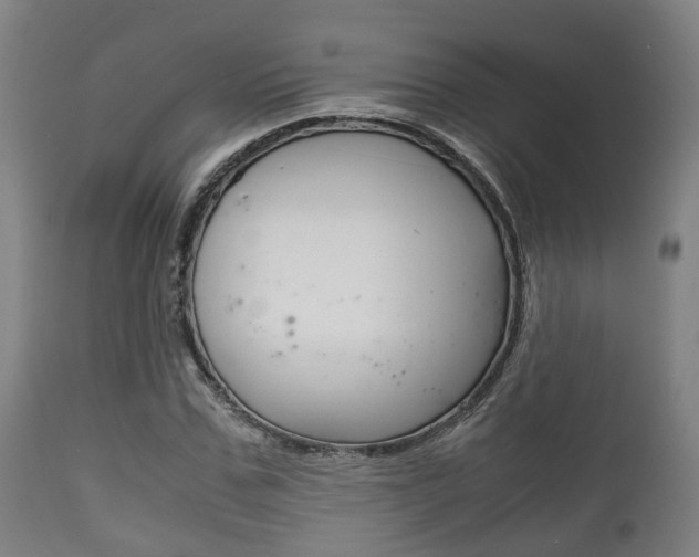 X0000111900971200907271006