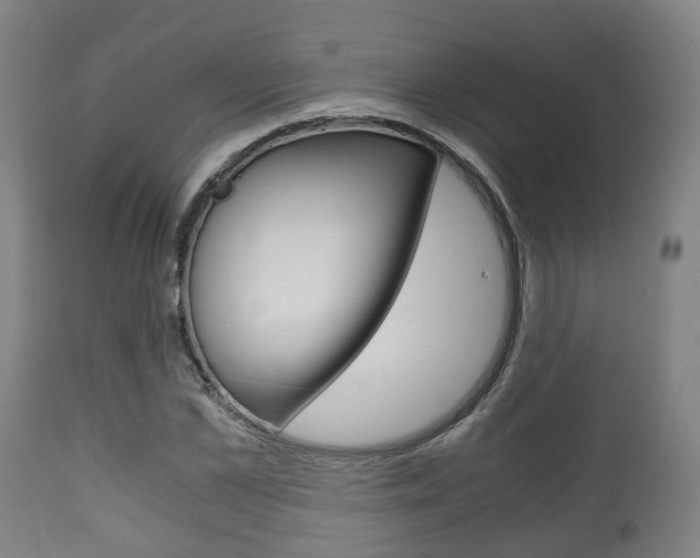 X0000111900973200907271006