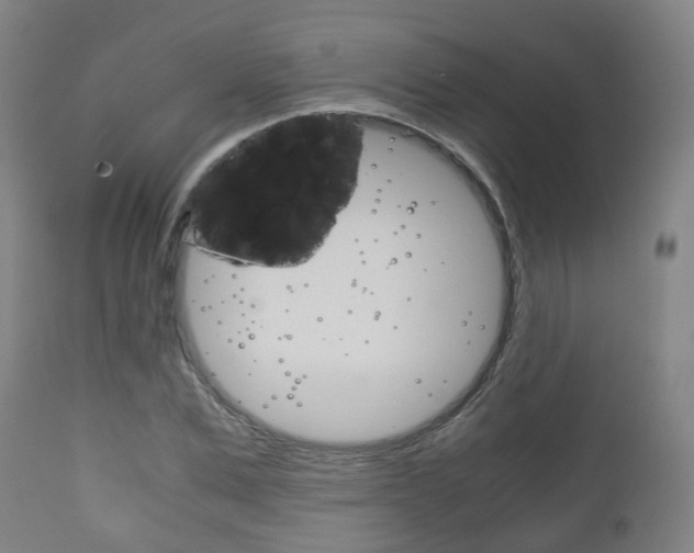 X0000111900975200907271006