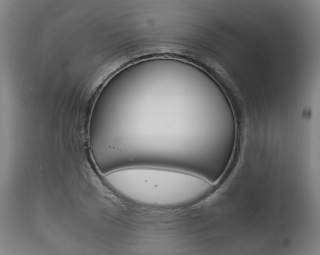 X0000111900977200907271006