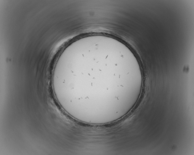 X0000111900979200907271006