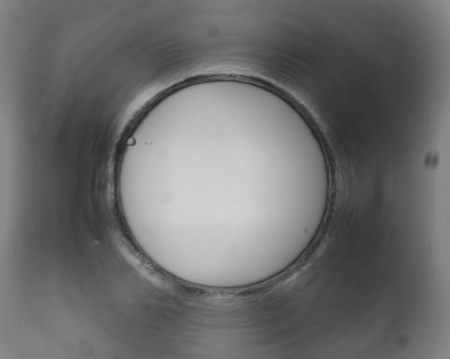 X0000111900982200907271006