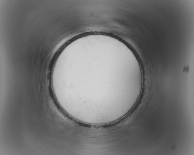 X0000111900983200907271006