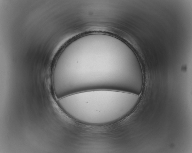 X0000111900984200907271006