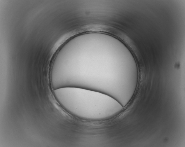 X0000111900986200907271006