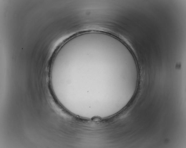 X0000111900987200907271006