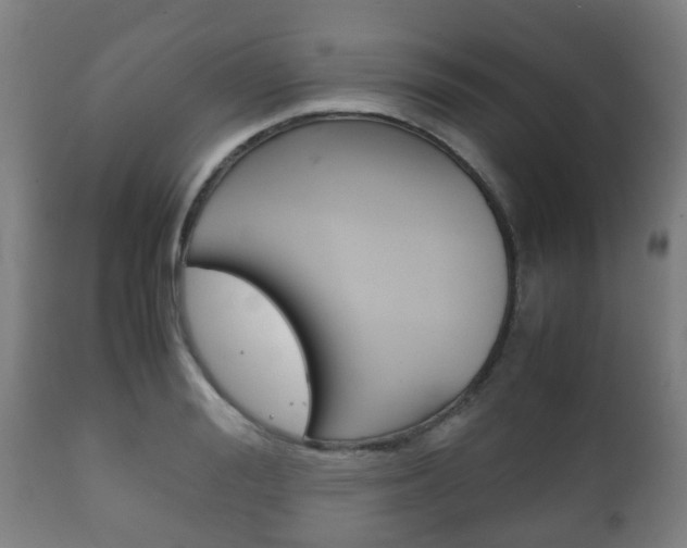 X0000111900988200907271006