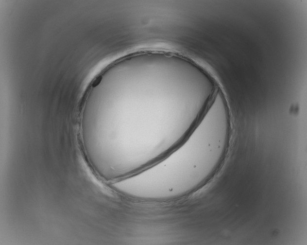 X0000111900989200907271006