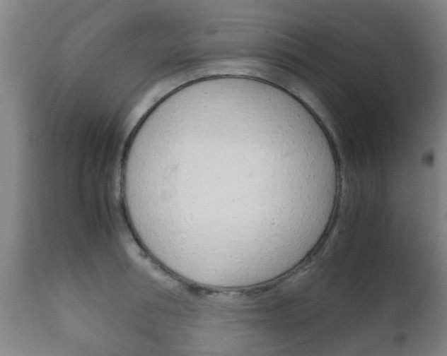 X0000111900994200907271006