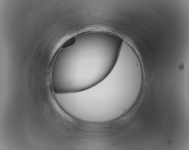 X0000111900997200907271005
