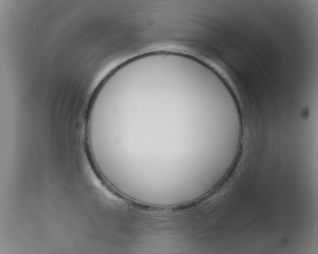 X0000111900999200907271005