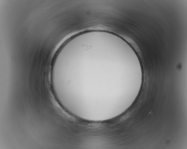X0000111901000200907271005
