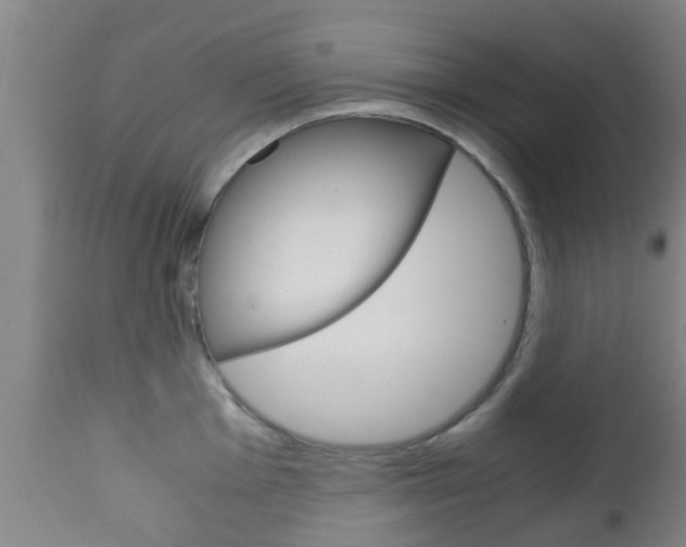 X0000111901001200907271005