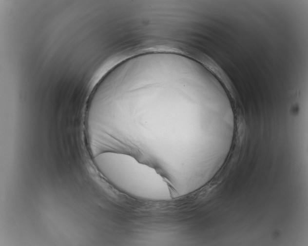 X0000111901002200907271005