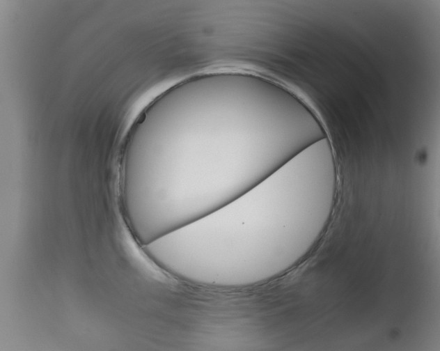 X0000111901003200907271005