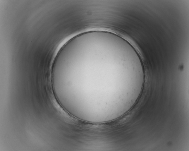 X0000111901004200907271005