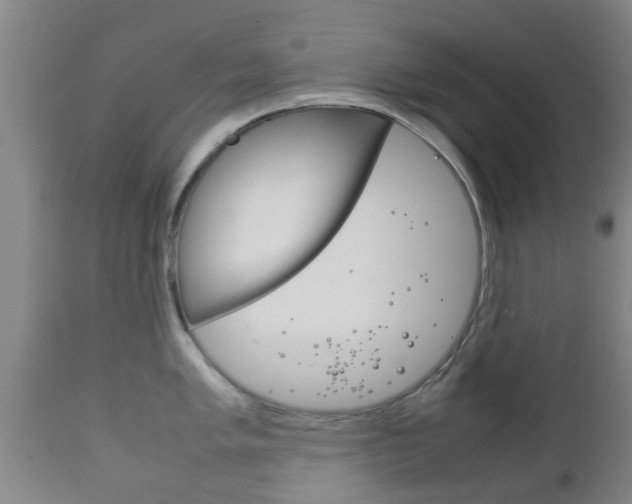 X0000111901005200907271005