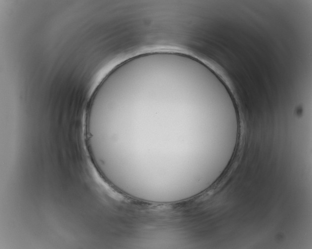 X0000111901006200907271005