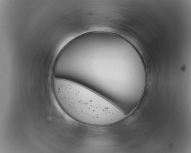 X0000111901007200907271005