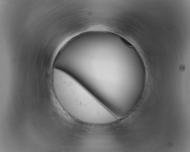 X0000111901008200907271005