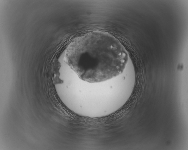 X0000111901009200907271005