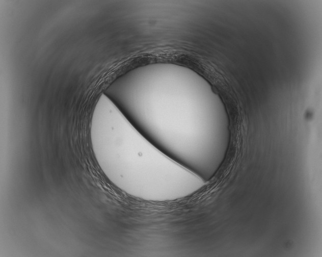 X0000111901010200907271005