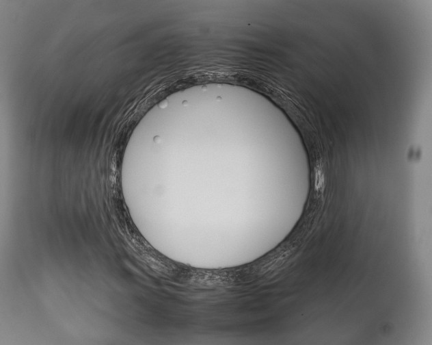 X0000111901011200907271005