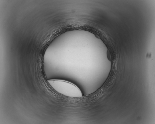 X0000111901012200907271005