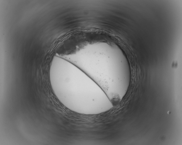 X0000111901013200907271005