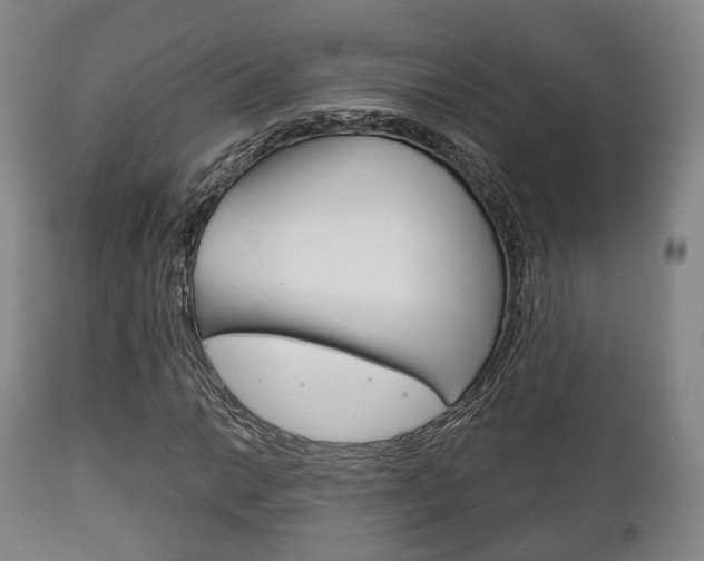 X0000111901014200907271005