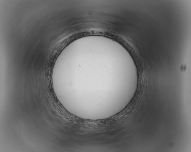 X0000111901015200907271005
