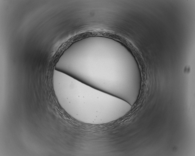 X0000111901016200907271005