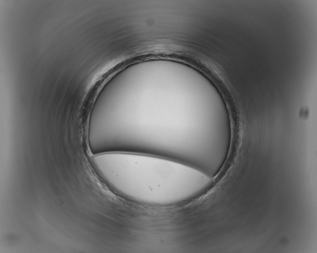 X0000111901018200907271005