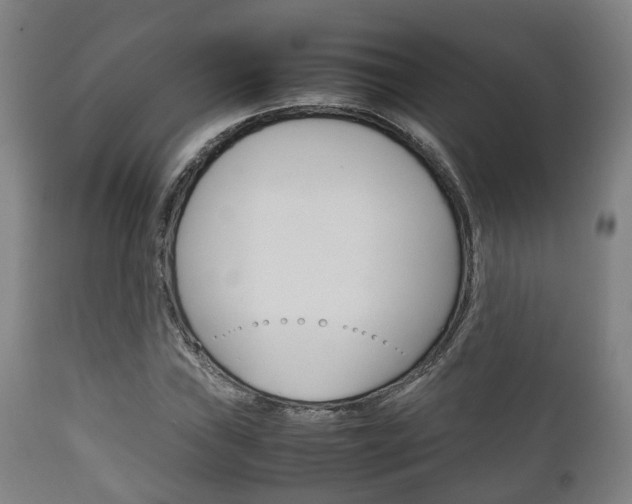 X0000111901019200907271005