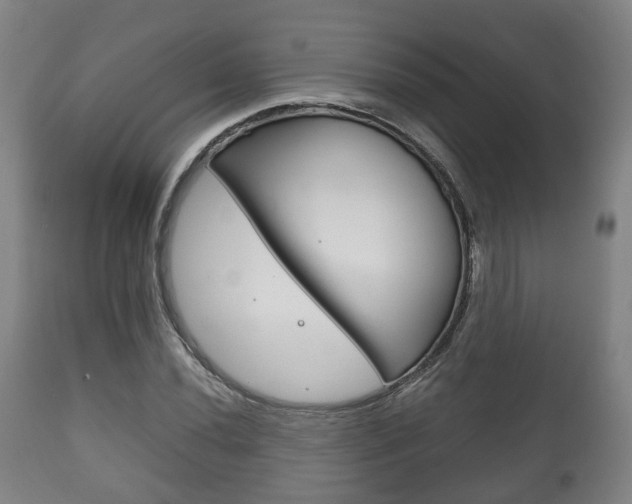 X0000111901020200907271005