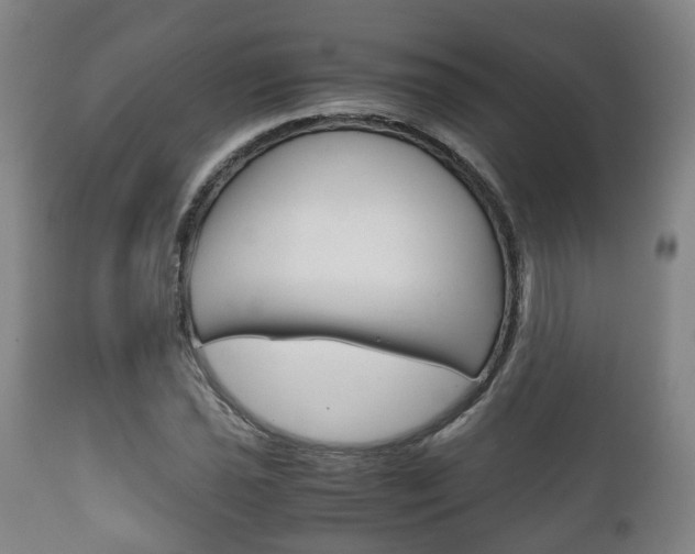 X0000111901021200907271005