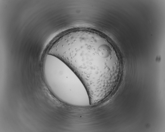 X0000111901022200907271005