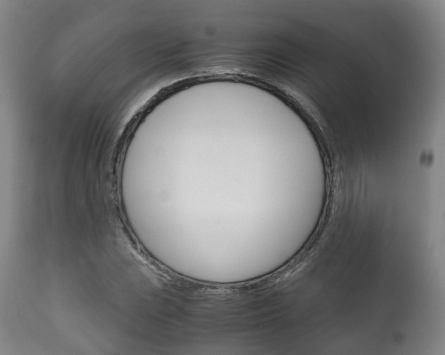 X0000111901023200907271005