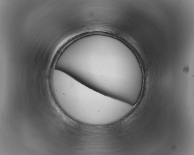 X0000111901024200907271005