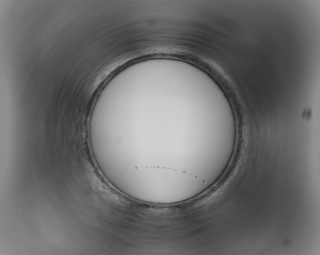 X0000111901025200907271005