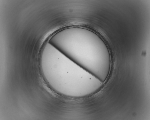 X0000111901026200907271005
