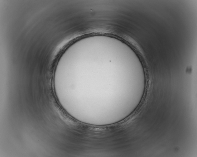X0000111901027200907271005
