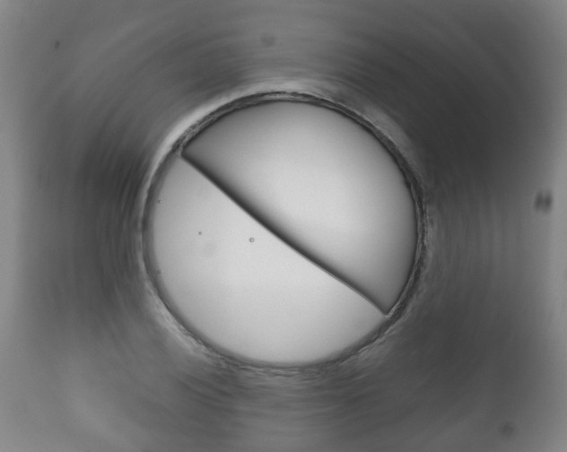 X0000111901028200907271005