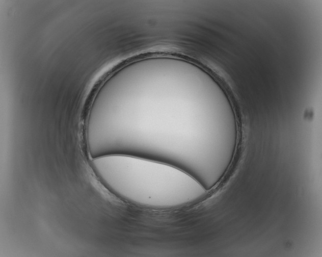 X0000111901029200907271005
