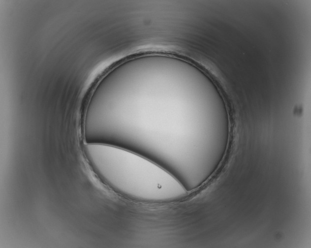 X0000111901030200907271005