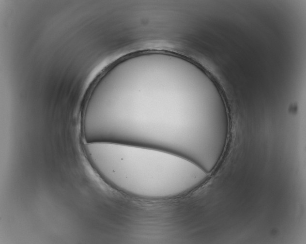 X0000111901032200907271005
