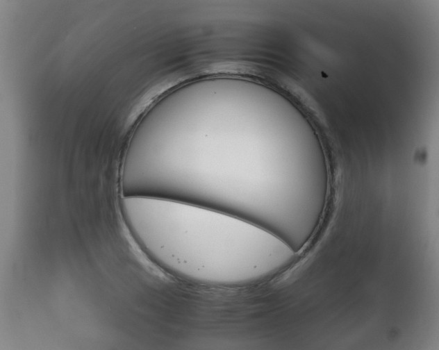 X0000111901033200907271005