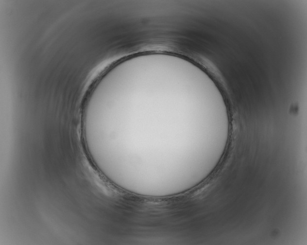 X0000111901035200907271005
