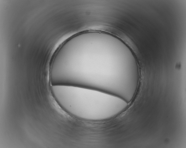 X0000111901036200907271005